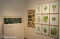 VBS_1306 - Castello di Miradolo - Mostra Oltre il giardino l'Abbecedario di paolo Pejrone